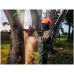 Site Premium Two-Tone Polycotton Jacket - Image 13