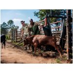 Site Premium Two-Tone Polycotton Jacket - Image 8