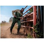 Site Premium Polycotton Pants - Image 14