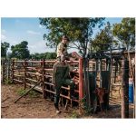 Site Premium Polycotton Pants - Image 13