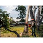 Site Premium Polycotton Pants - Image 17