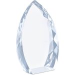 Altitude Trident Award - Image 4