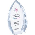 Altitude Trident Award - Image 3