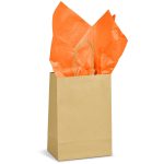 Altitude Ecological Digital Print Mini Paper Gift Bag 150gsm - Image 64