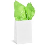 Altitude Animated Digital Print Mini Paper Gift Bag 200gsm - Image 6