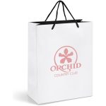 Altitude Dazzle Midi Paper Gift Bag - Image 6