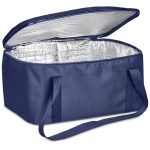 Pre-Production Hoppla Sudwala Food Delivery Cooler Bag - Image 17