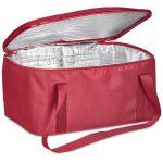 Pre-Production Hoppla Sudwala Food Delivery Cooler Bag - Image 10