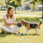 Altitude Benji Pet Set - Image 7