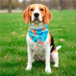 Pre-Production Sample Hoppla Tyson Small Polyester Dog Bandana - Image 2